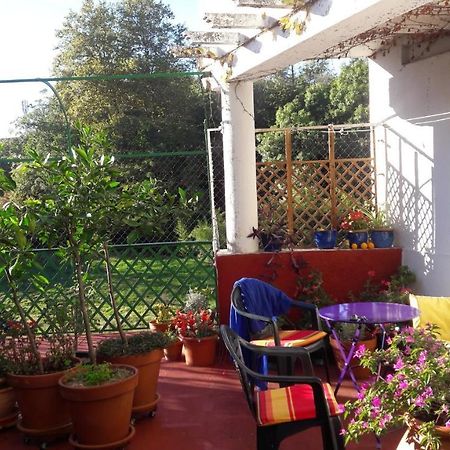 Les Camelias Mazamet Exterior foto